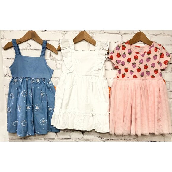 New 3pc Lot Toddler Girls Blue Pink Embroidered Eyelet Ruffle Dresses Sz 3T - Picture 1 of 7